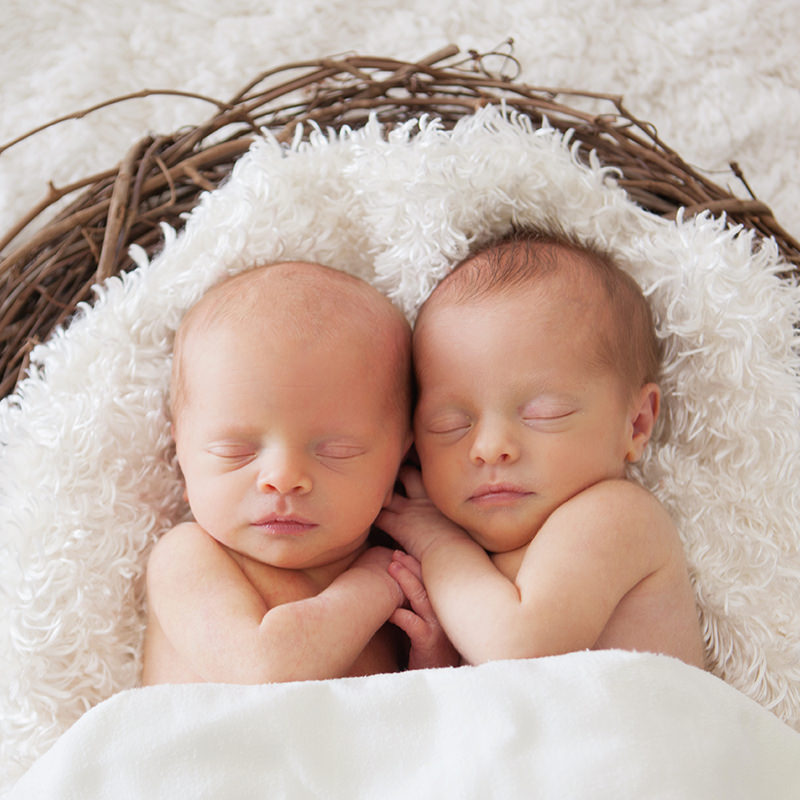 portfolio_07_800x800