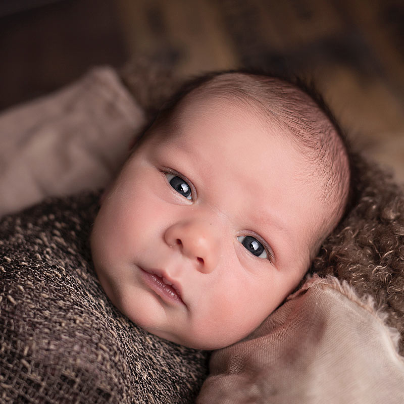 portfolio_04_800x800